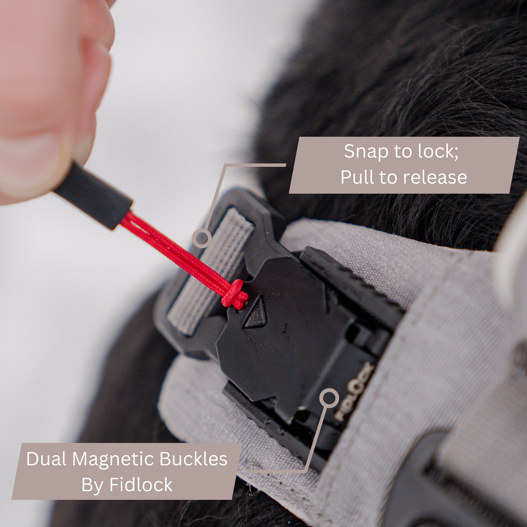 UP DOG Magnetic Dog Harness – photo 2