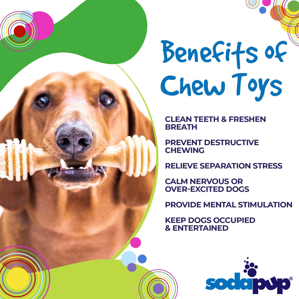 SodaPup Honey Bone Durable Chew Toy