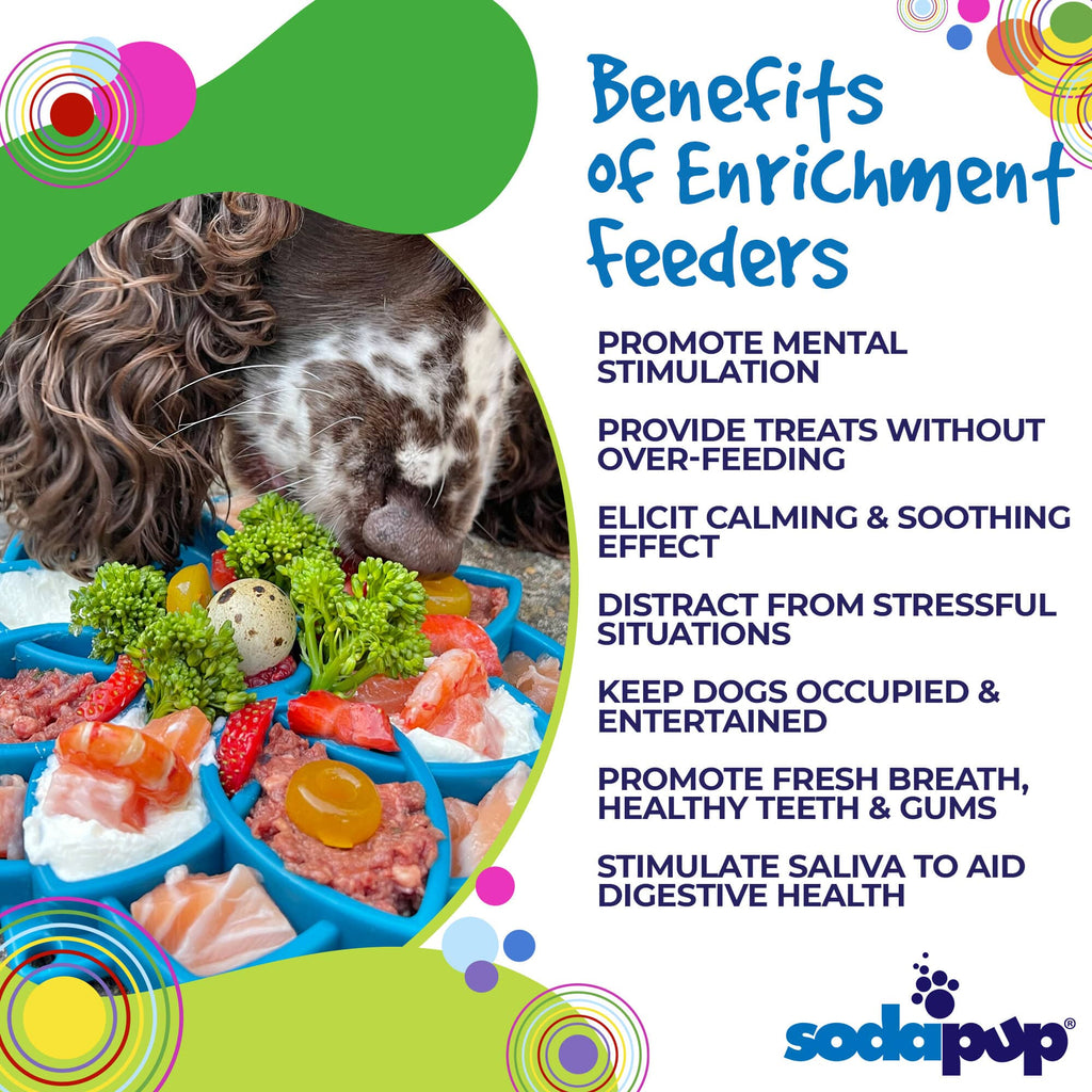 SodaPup Mandala Slow Feeder & Enrichment Tray