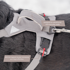 UP DOG Magnetic Dog Harness – photo 4