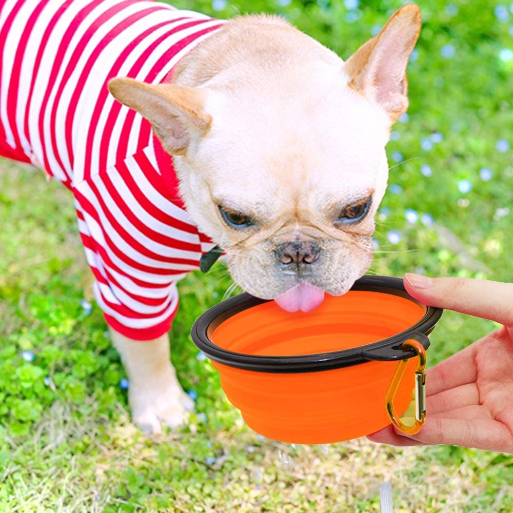 Collapsible Dog Bowls, Set of 5 (Orange) – photo 4
