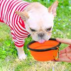 Collapsible Dog Bowls, Set of 5 (Orange) – photo 4