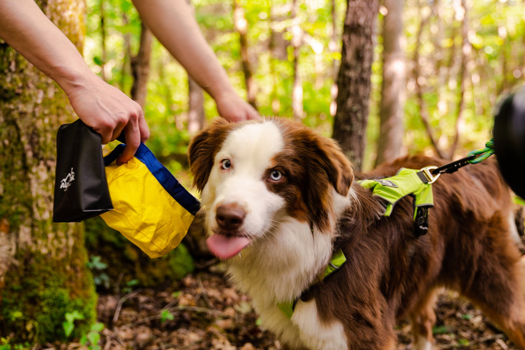 Alpha Pak Gallatin Collapsible Dog Bowl