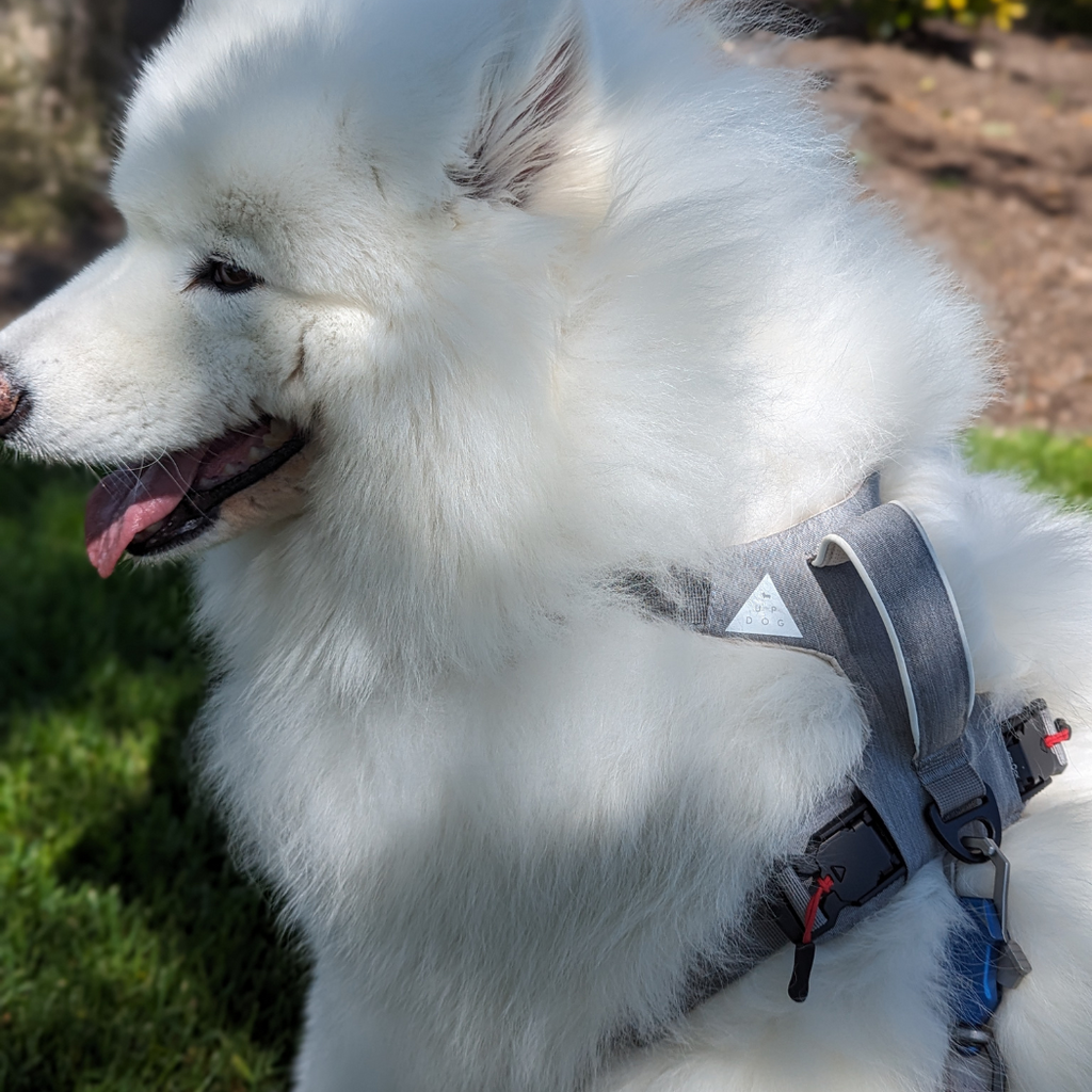 UP DOG Magnetic Dog Harness – photo 7