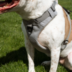 UP DOG Magnetic Dog Harness – photo 8