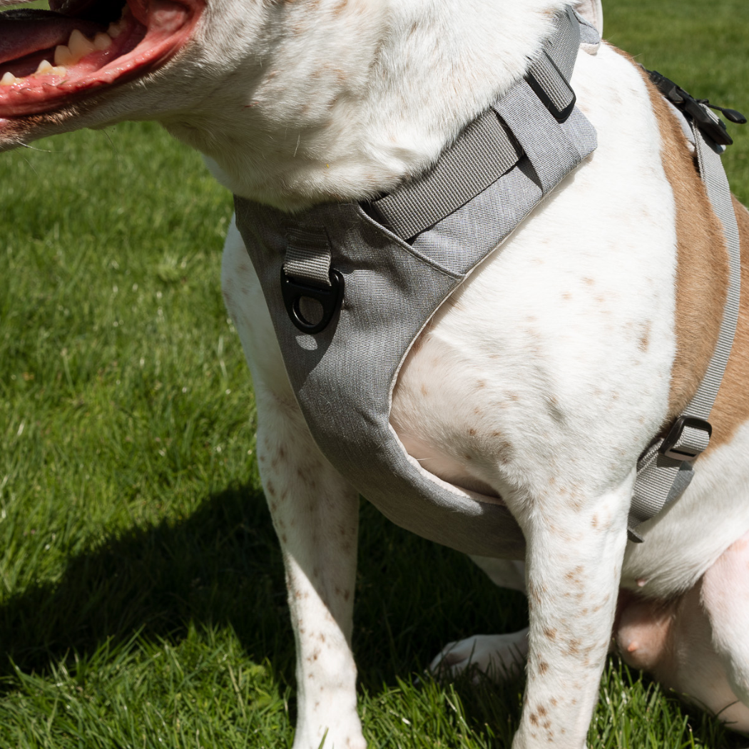 UP DOG Magnetic Dog Harness – photo 8