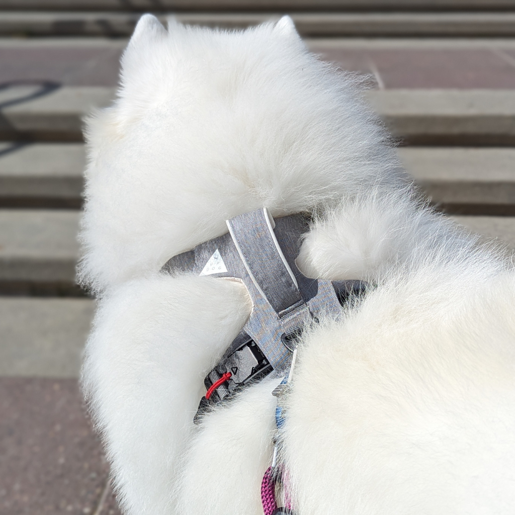 UP DOG Magnetic Dog Harness – photo 10