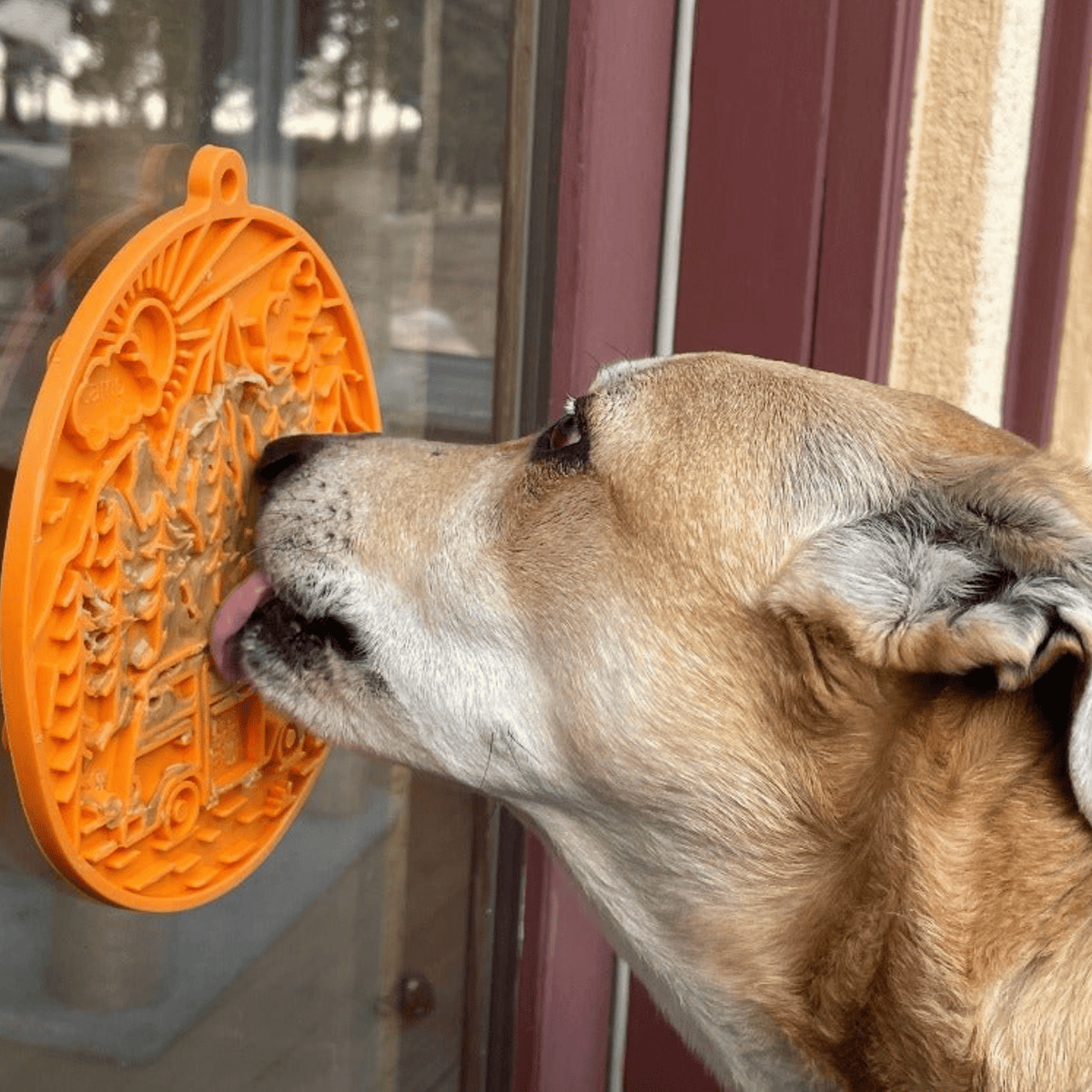 Suction Cup Lick Mat for Dogs – Orange Camp, dog licking the mat