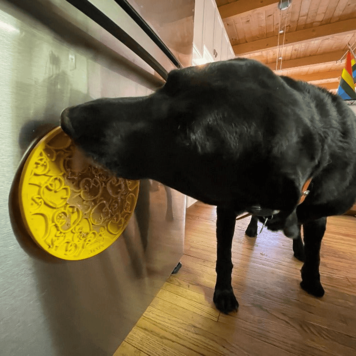Suction Cup Lick Mat for Dogs – Yellow Duckies, dog licking the mat