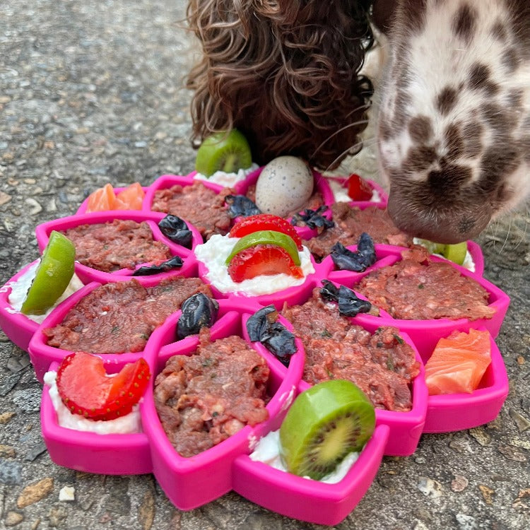 SodaPup Mandala Slow Feeder & Enrichment Tray