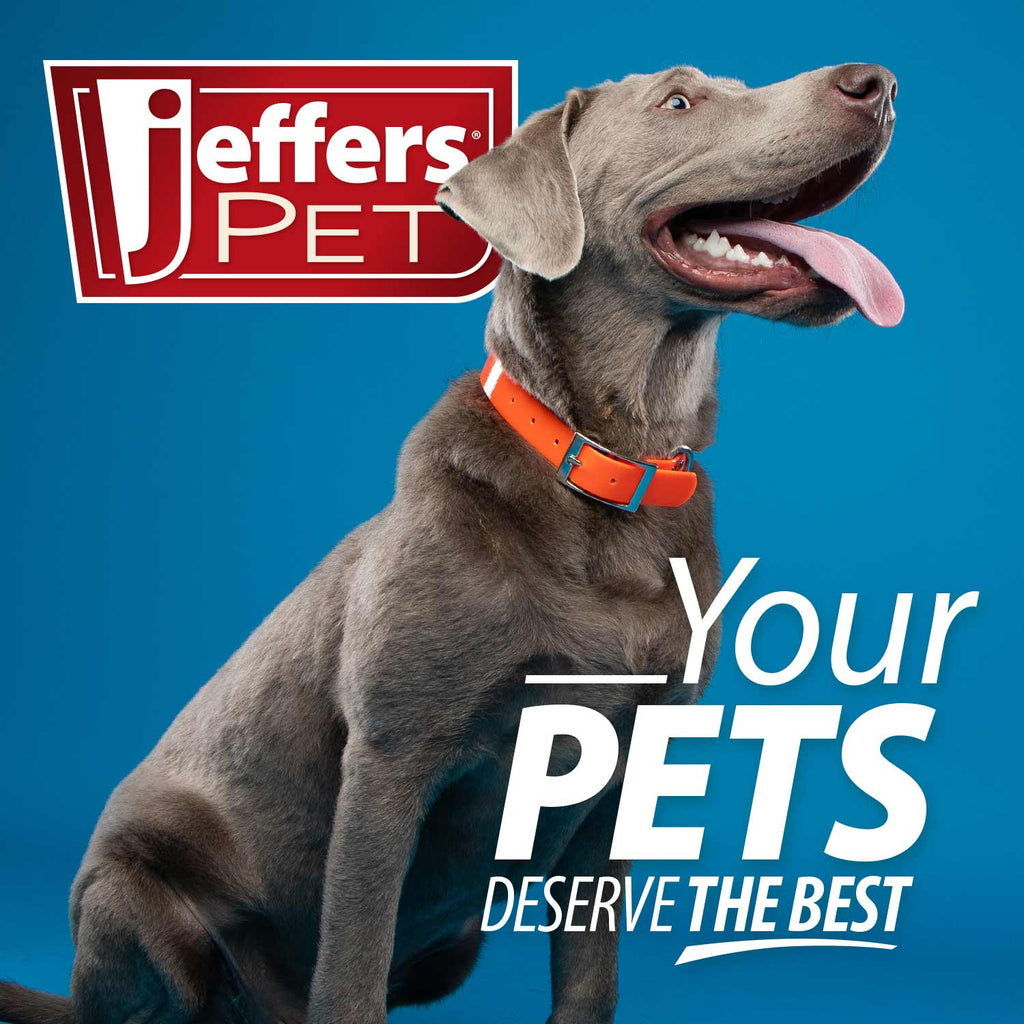 Jeffers Magic Spring Pet Grooming Comb
