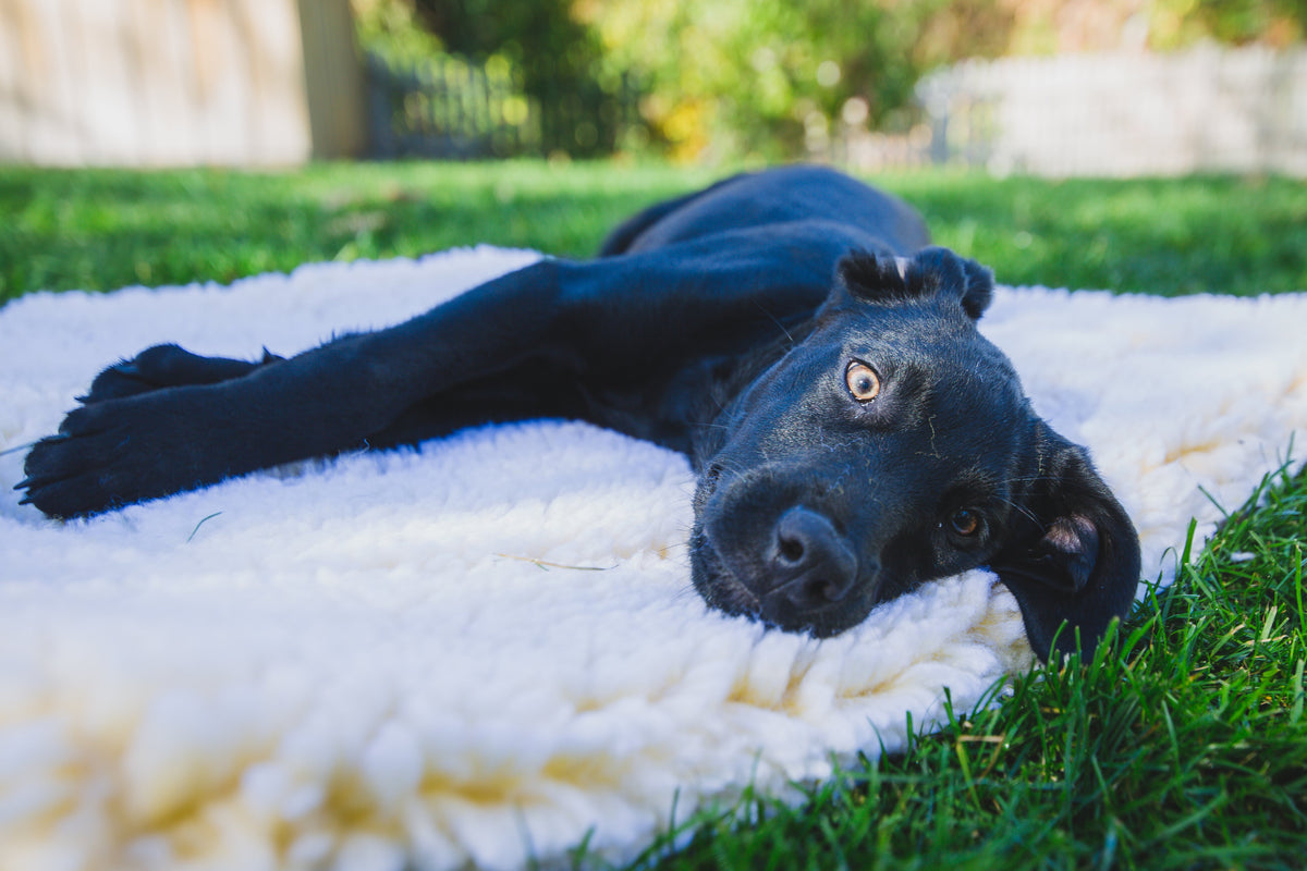 HuggleFleece® Comfort Mat for Dogs & Cats