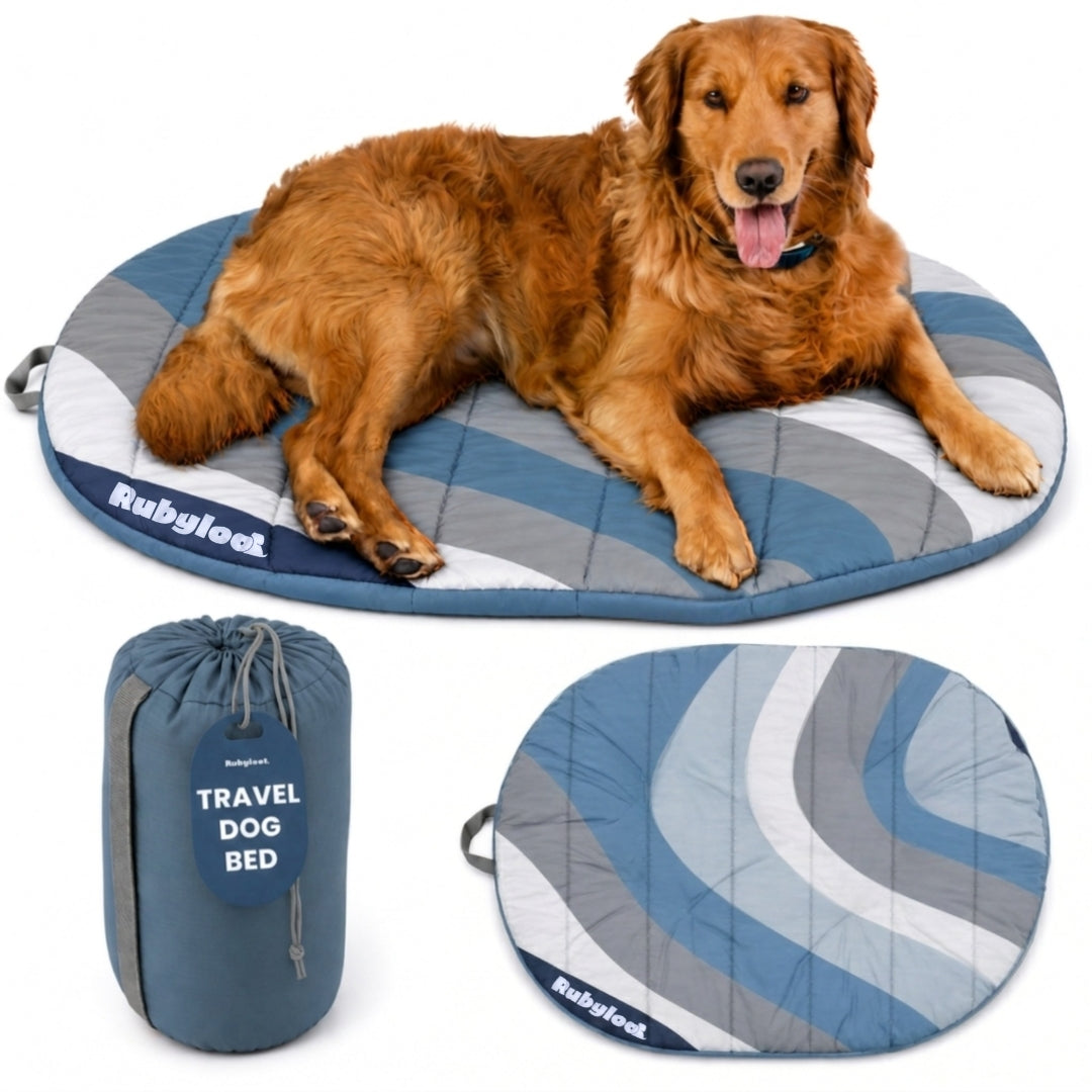 Rubyloo Foldable Travel Dog Bed – photo 11