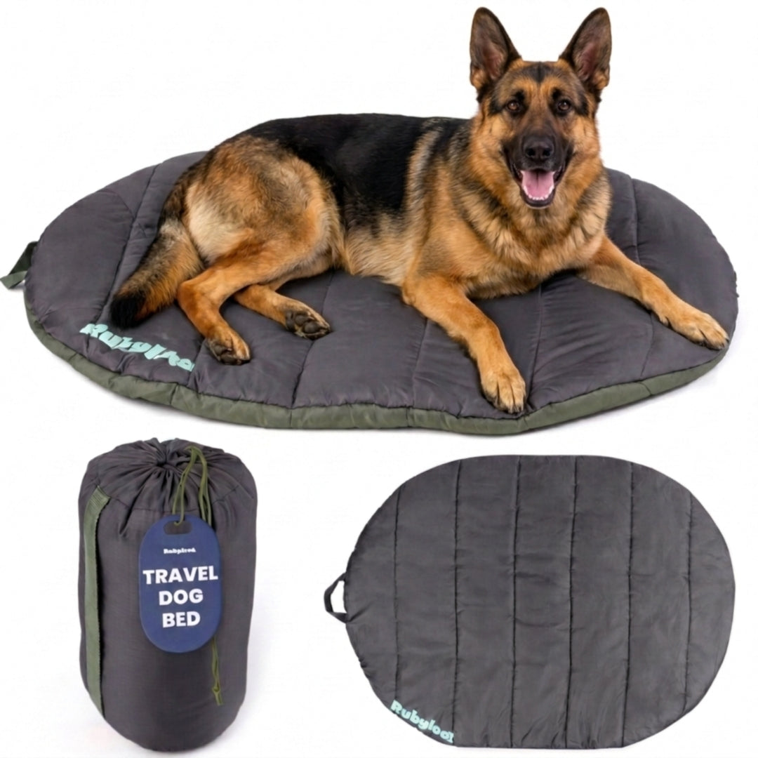 Rubyloo Foldable Travel Dog Bed – photo 18