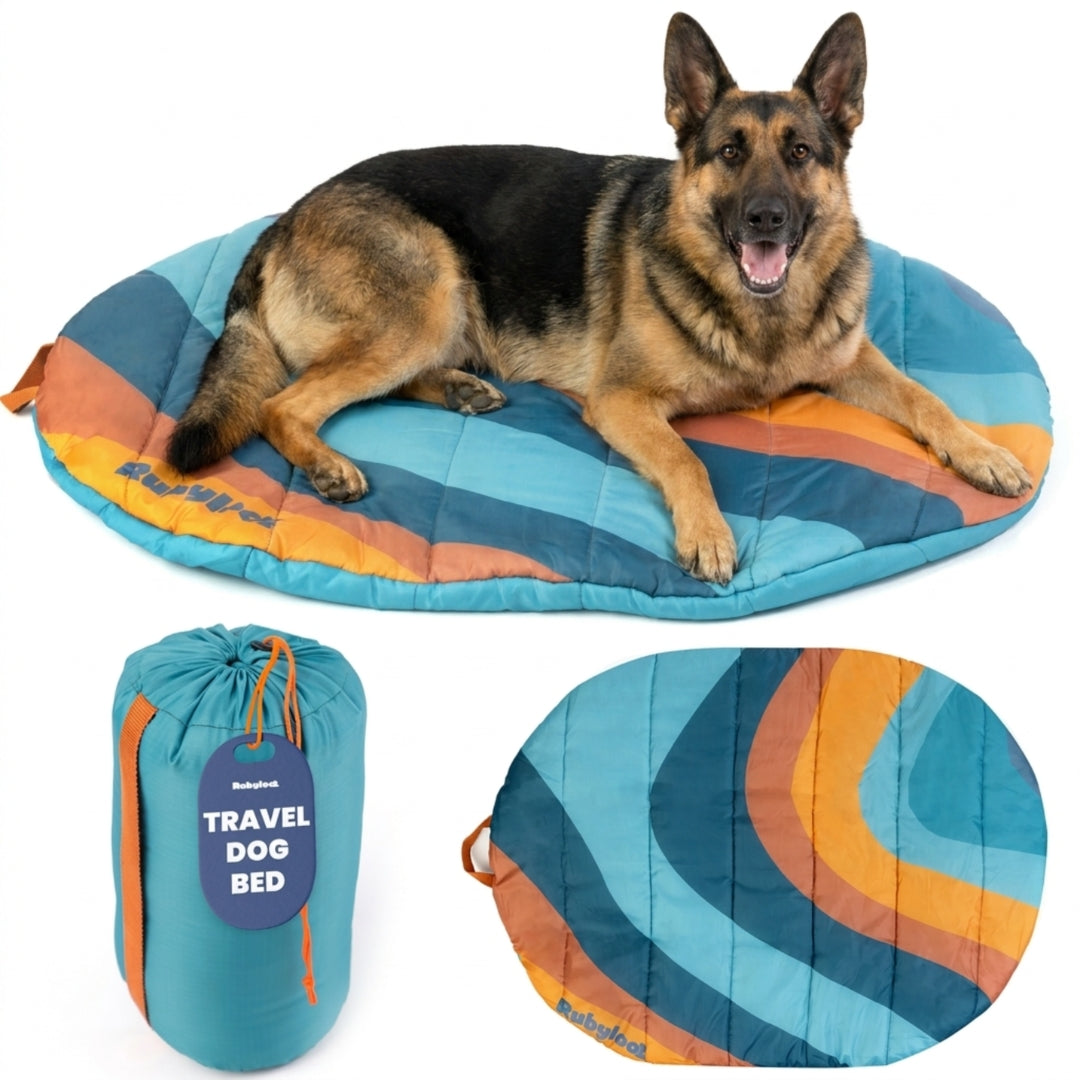 Rubyloo Foldable Travel Dog Bed – photo 16