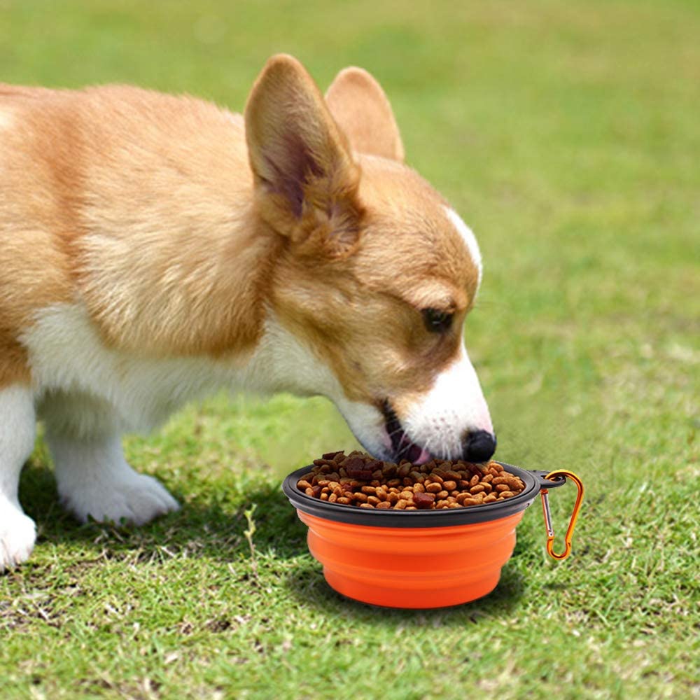 Collapsible Dog Bowls, Set of 5 (Orange) – photo 5