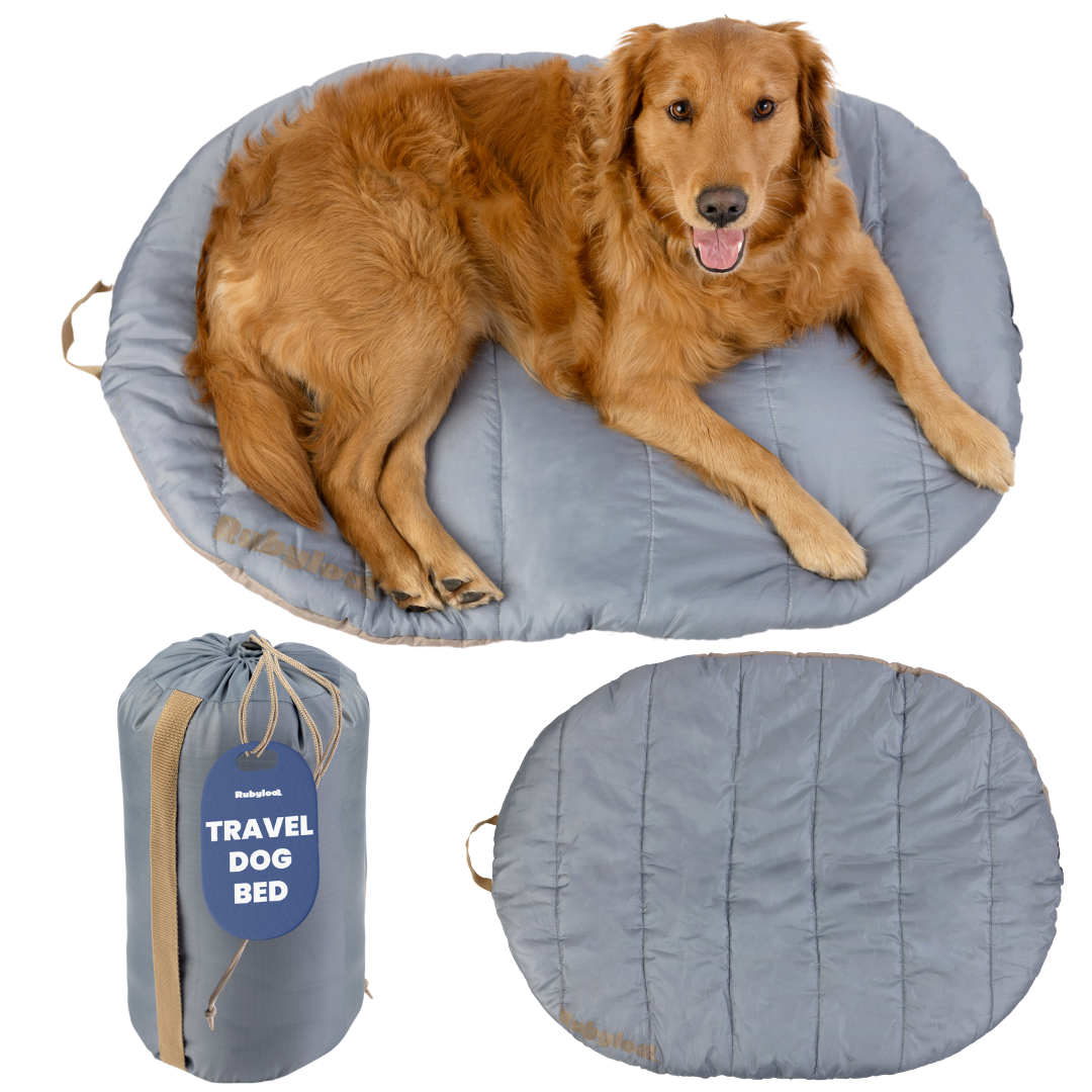 Rubyloo Foldable Travel Dog Bed – photo 10