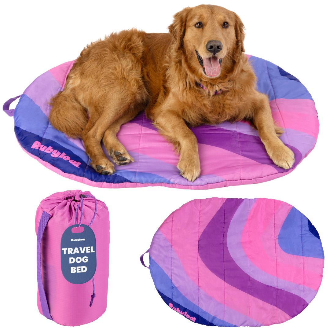 Rubyloo Foldable Travel Dog Bed – photo 9