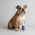Cleo&Hooman Scrub-a-Pup-Pup Paw Cleanser – photo 3