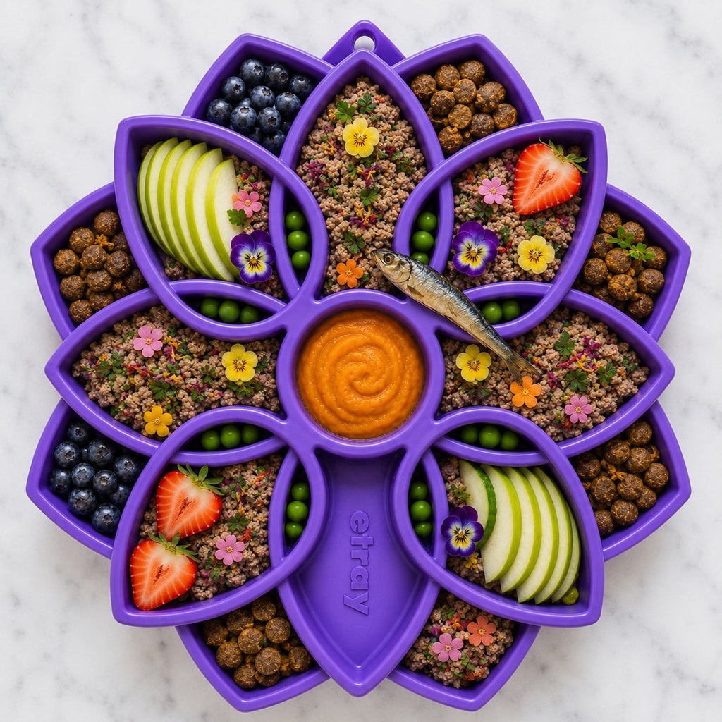 SodaPup Mandala Slow Feeder & Enrichment Tray