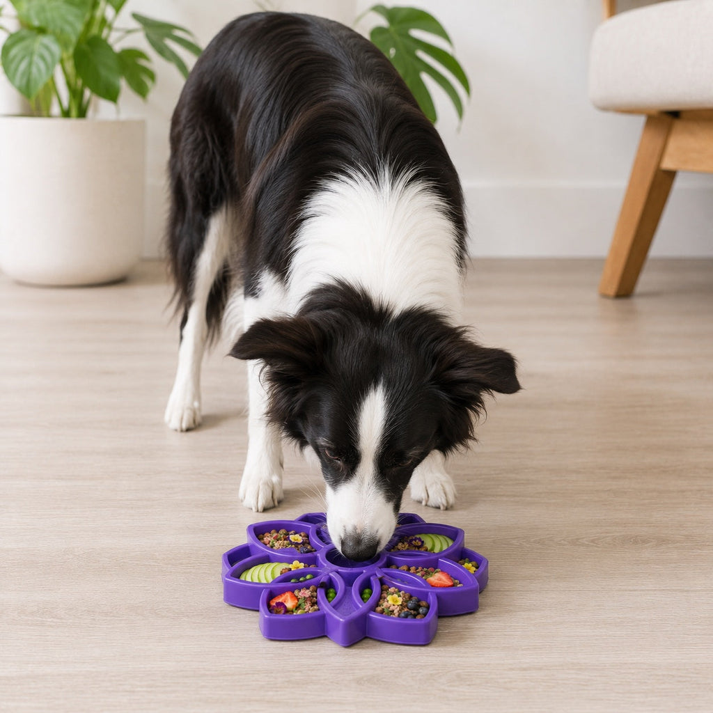 SodaPup Mandala Slow Feeder & Enrichment Tray