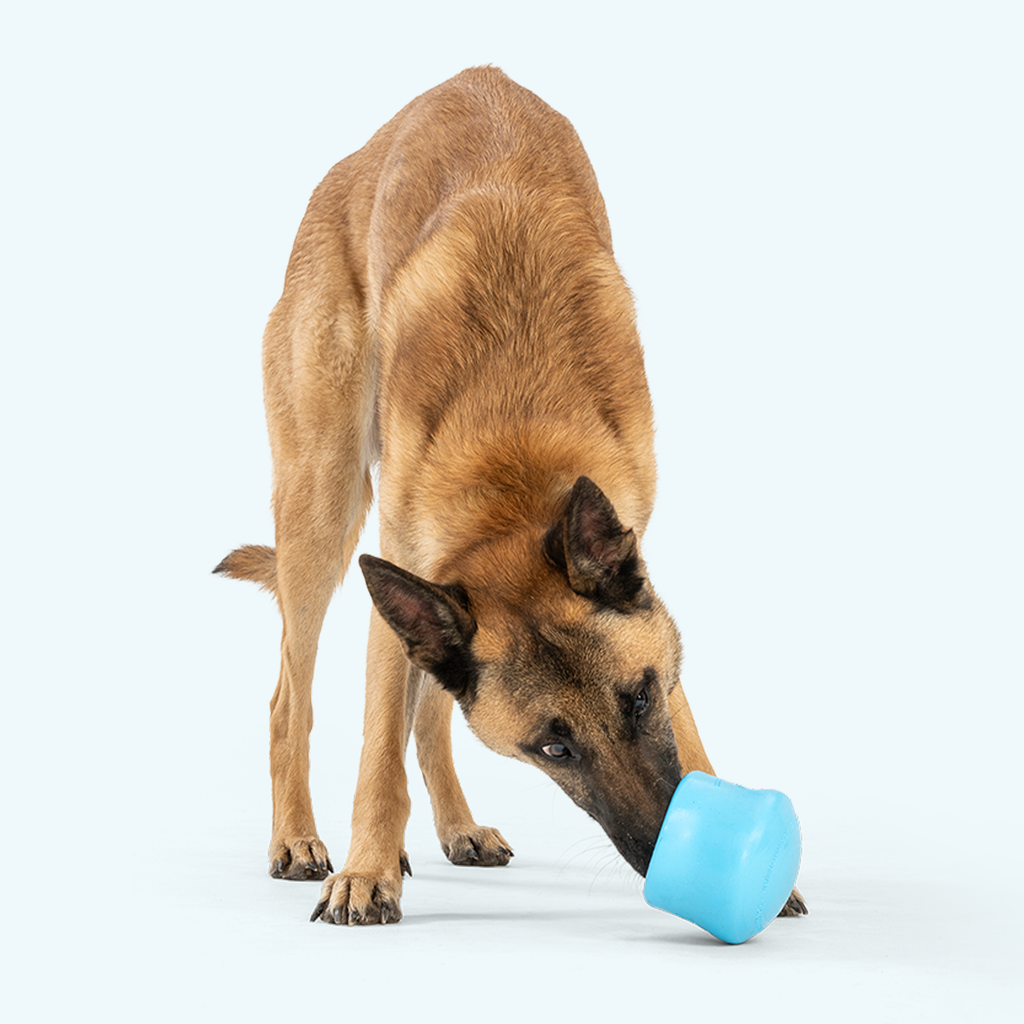 West Paw Toppl Treat-Dispensing Dog Toy – photo 6
