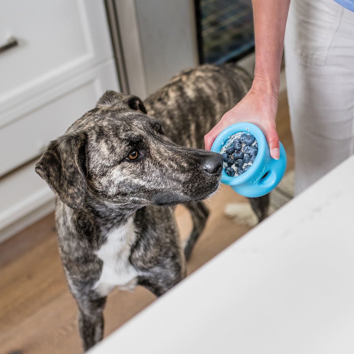 West Paw Toppl Treat-Dispensing Dog Toy – photo 7