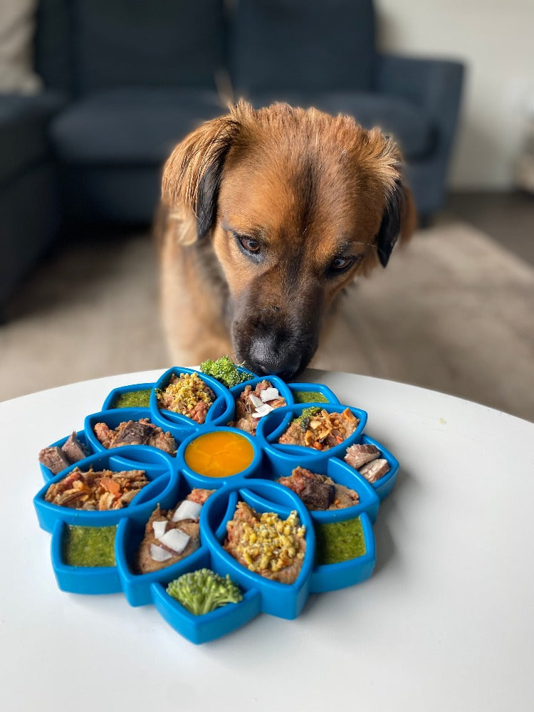 SodaPup Mandala Slow Feeder & Enrichment Tray