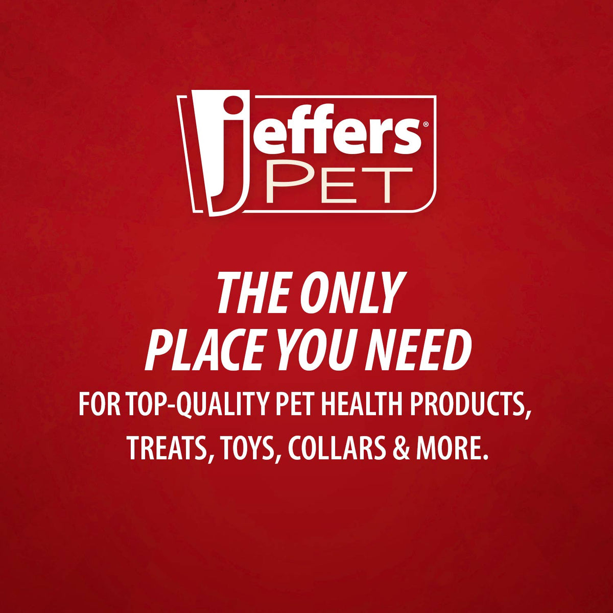 Jeffers Magic Spring Pet Grooming Comb