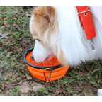 Collapsible Silicone Travel Bowl for Dogs and Cats – photo 2