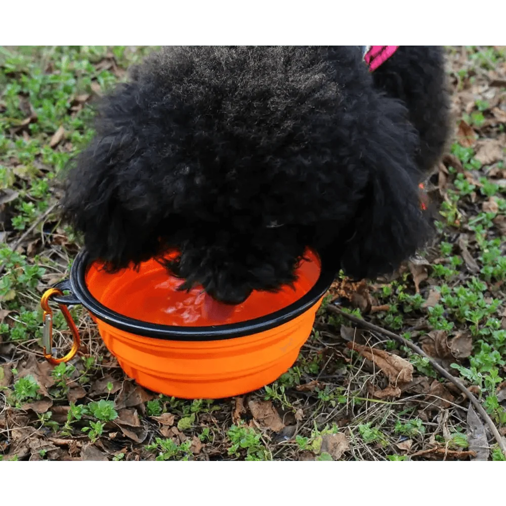 Collapsible Silicone Travel Bowl for Dogs and Cats