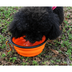 Collapsible Silicone Travel Bowl for Dogs and Cats